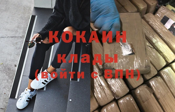 гидропоника Алзамай